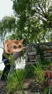 公园湖边操大奶人妻母狗